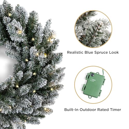 Papyrus 24" Pre-Lit Blue Spruce Artificial Wreath