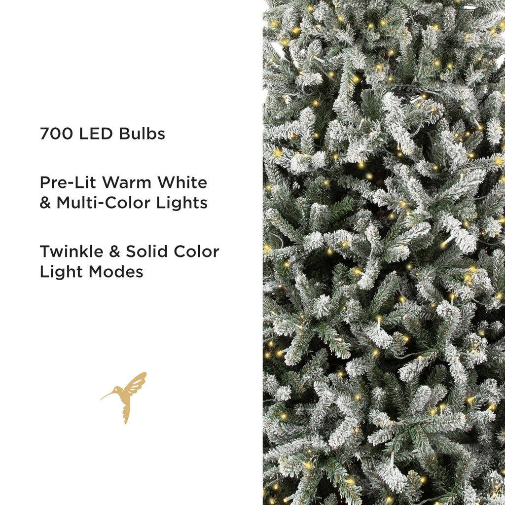 Papyrus 7 ft Pre-Lit Blue Spruce Christmas Tree