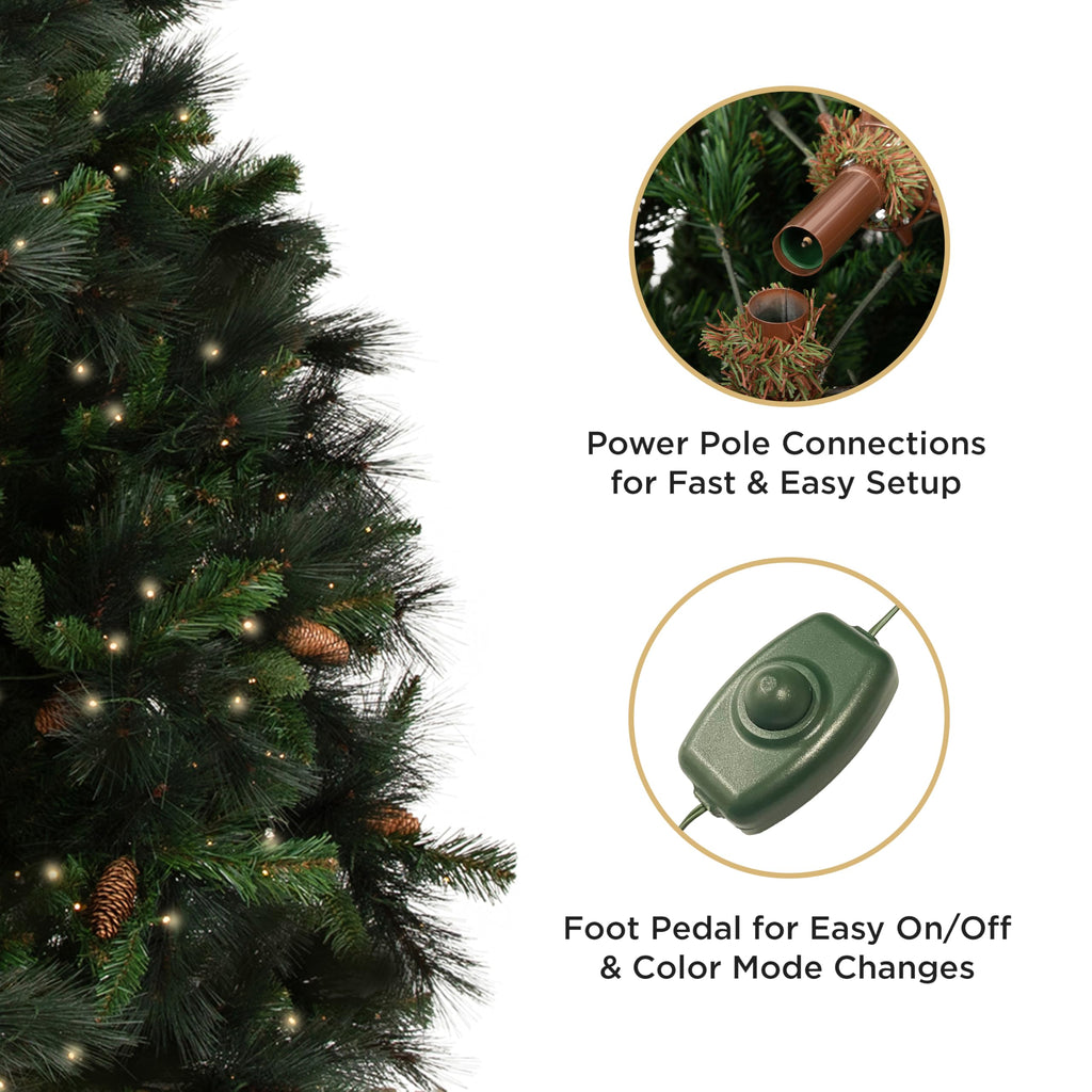 Papyrus 9 ft Pre-Lit Carolina Pine Christmas Tree