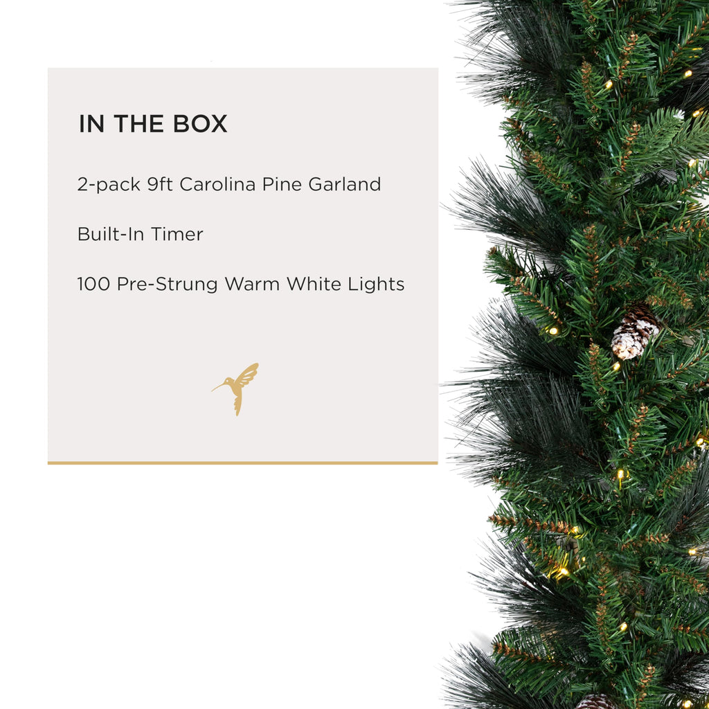 Papyrus 2 Pack of 9 ft Pre-Lit Carolina Pine Garland