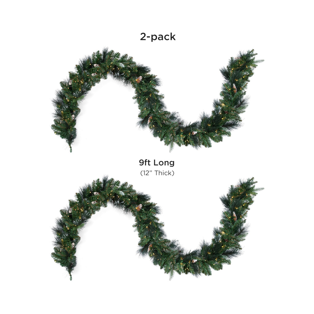 Papyrus 2 Pack of 9 ft Pre-Lit Carolina Pine Garland