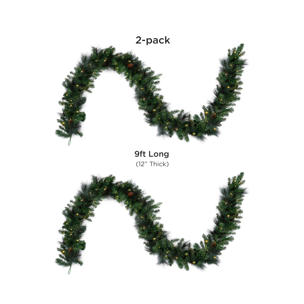 Papyrus 2 Pack of 9 ft Pre-Lit Carolina Pine Garland