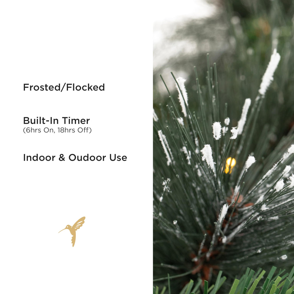 Papyrus 2 Pack of 9 ft Pre-Lit Carolina Pine Garland