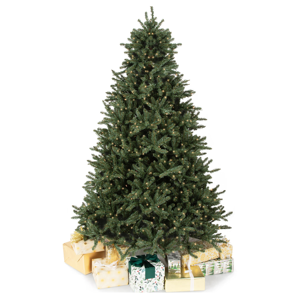 Papyrus 7 ft Pre-Lit Unfrosted Blue Spruce Christmas Tree