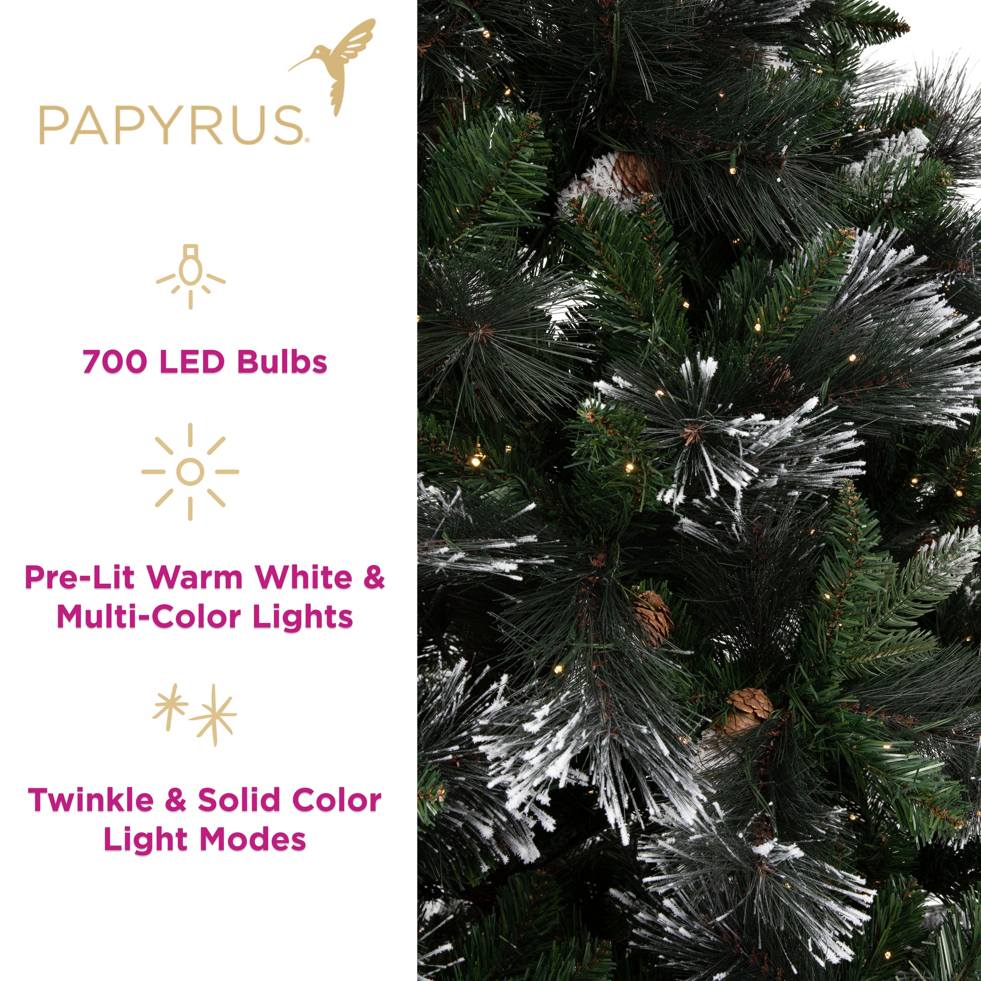 Papyrus 7 ft Pre-Lit Frosted Carolina Pine Christmas Tree