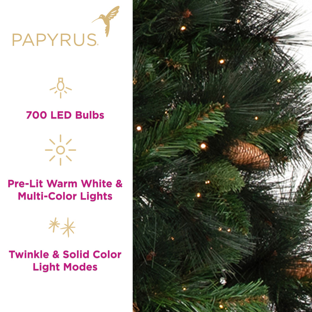 Papyrus 7 ft Pre-Lit Unfrosted Carolina Pine Christmas Tree