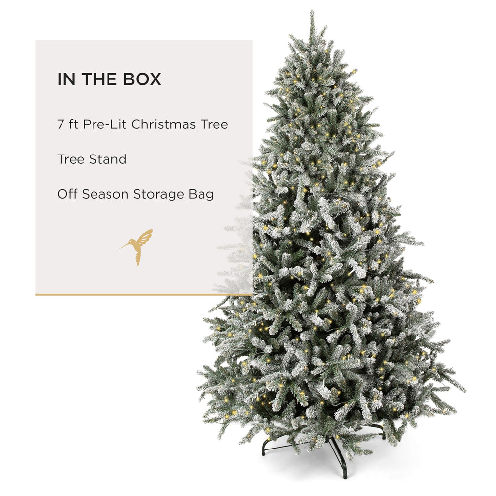 Papyrus 7 ft Pre-Lit Blue Spruce Christmas Tree