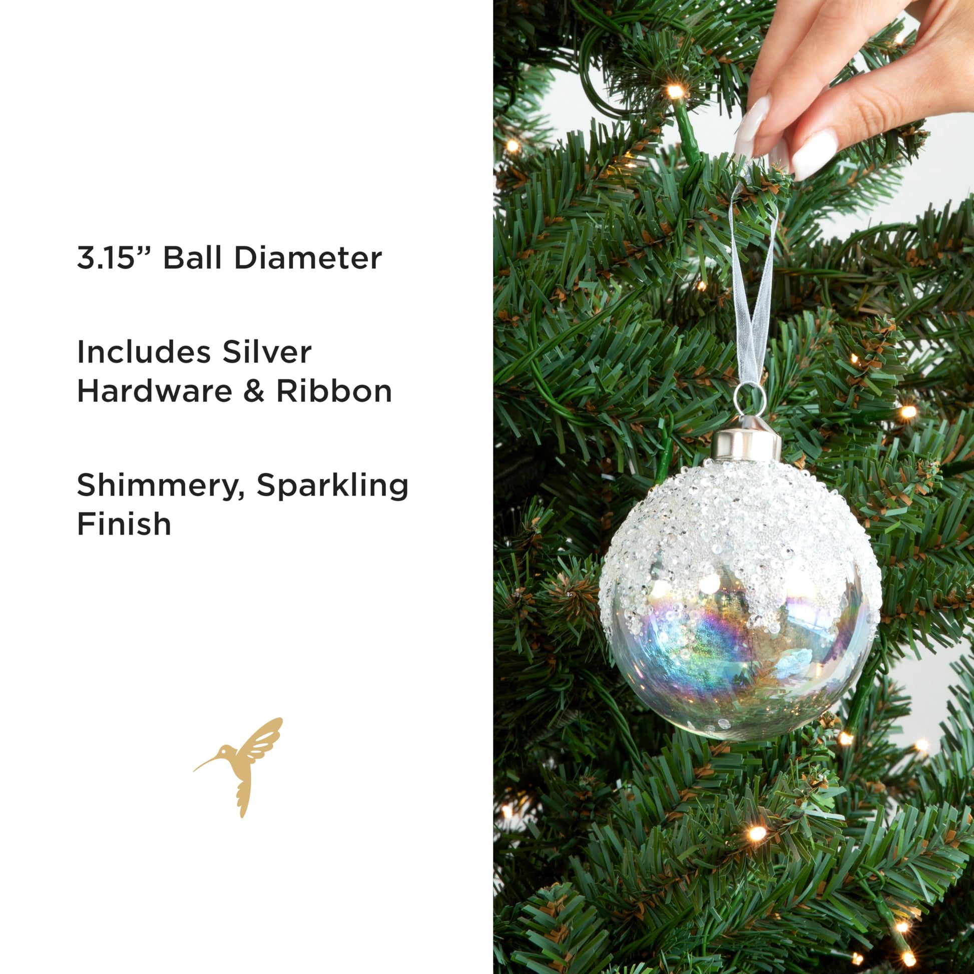 Papyrus 12 Piece Glass Ornament Set