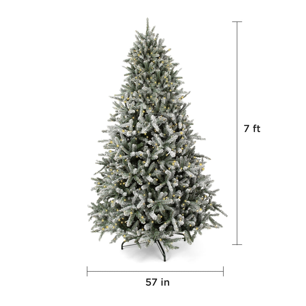 Papyrus 7 ft Pre-Lit Blue Spruce Christmas Tree