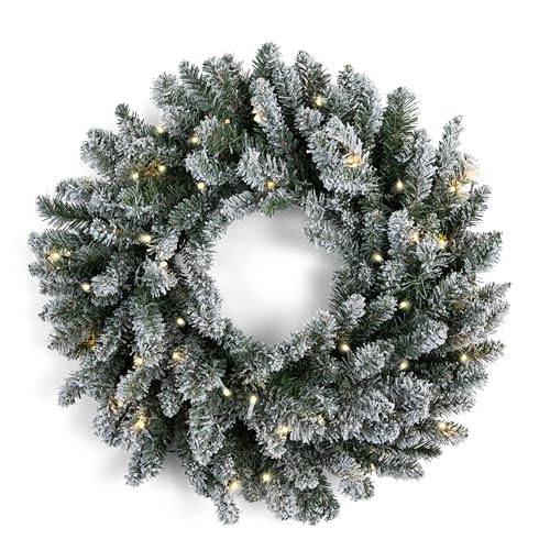 Papyrus 24" Pre-Lit Blue Spruce Artificial Wreath