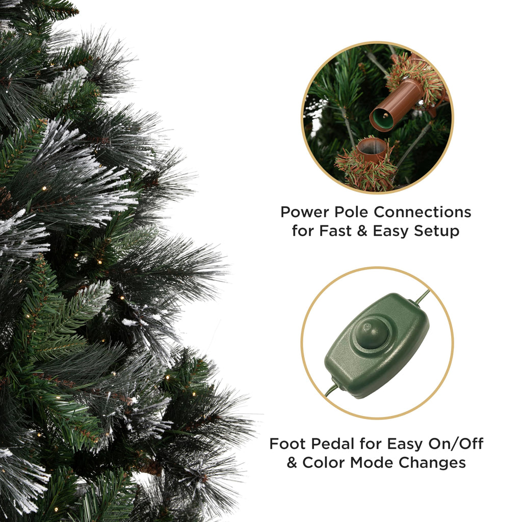 Papyrus 9 ft Pre-Lit Carolina Pine Christmas Tree