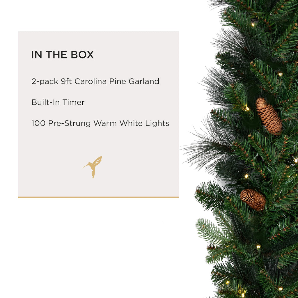 Papyrus 2 Pack of 9 ft Pre-Lit Carolina Pine Garland