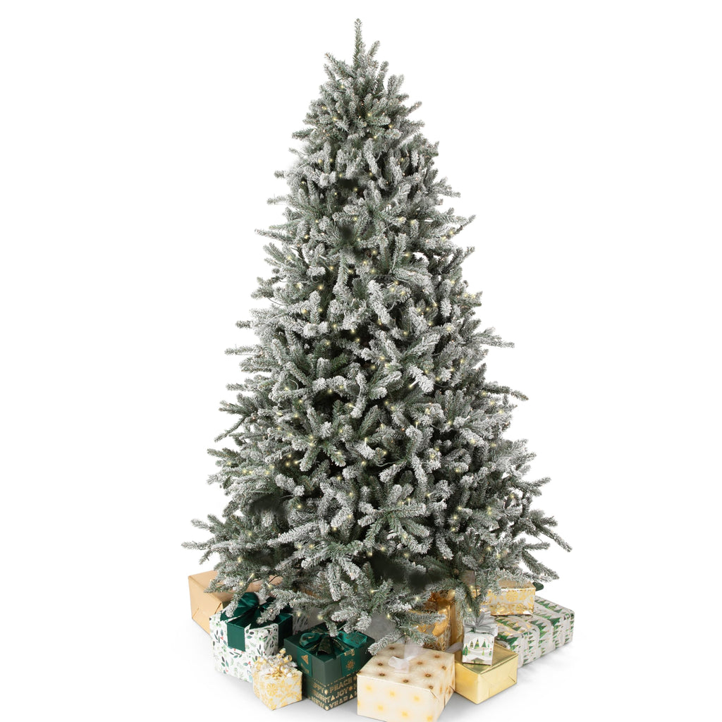 Papyrus 7 ft Pre-Lit Blue Spruce Christmas Tree